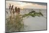 Sea Oats on Gulf of Mexico at South Padre Island, Texas, USA-Larry Ditto-Mounted Photographic Print