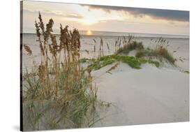 Sea Oats on Gulf of Mexico at South Padre Island, Texas, USA-Larry Ditto-Stretched Canvas