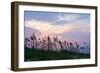 Sea Oats on Lavender 1-Alan Hausenflock-Framed Photographic Print