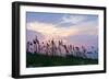 Sea Oats on Lavender 1-Alan Hausenflock-Framed Photographic Print