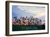 Sea Oats on Lavender 2-Alan Hausenflock-Framed Photographic Print