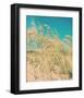 Sea Oats-Myan Soffia-Framed Art Print