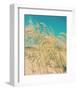 Sea Oats-Myan Soffia-Framed Art Print