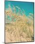 Sea Oats-Myan Soffia-Mounted Art Print