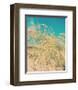 Sea Oats-Myan Soffia-Framed Art Print