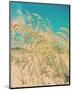 Sea Oats-Myan Soffia-Mounted Art Print