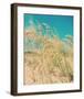 Sea Oats-Myan Soffia-Framed Art Print