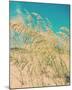 Sea Oats-Myan Soffia-Mounted Art Print