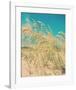 Sea Oats-Myan Soffia-Framed Art Print