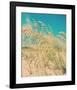 Sea Oats-Myan Soffia-Framed Art Print