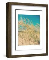 Sea Oats-Myan Soffia-Framed Art Print