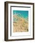 Sea Oats-Myan Soffia-Framed Art Print