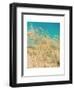 Sea Oats-Myan Soffia-Framed Art Print