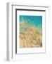 Sea Oats-Myan Soffia-Framed Art Print