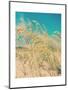 Sea Oats-Myan Soffia-Mounted Art Print