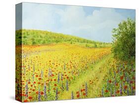 Sea Of Blossom-kirilstanchev-Stretched Canvas