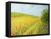 Sea Of Blossom-kirilstanchev-Framed Stretched Canvas