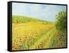 Sea Of Blossom-kirilstanchev-Framed Stretched Canvas