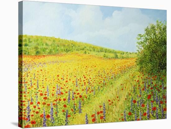 Sea Of Blossom-kirilstanchev-Stretched Canvas