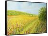 Sea Of Blossom-kirilstanchev-Framed Stretched Canvas