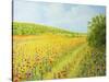 Sea Of Blossom-kirilstanchev-Stretched Canvas