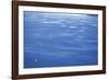 Sea Of Dreams-Basil Pao-Framed Giclee Print