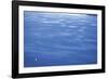 Sea Of Dreams-Basil Pao-Framed Giclee Print