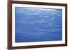 Sea Of Dreams-Basil Pao-Framed Giclee Print