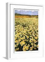 Sea of Flowers I-Donald Paulson-Framed Giclee Print