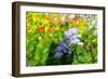 Sea of flowers-Heidi Westum-Framed Photographic Print