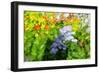 Sea of flowers-Heidi Westum-Framed Photographic Print