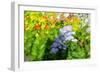 Sea of flowers-Heidi Westum-Framed Photographic Print