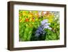 Sea of flowers-Heidi Westum-Framed Photographic Print