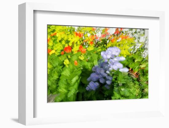 Sea of flowers-Heidi Westum-Framed Photographic Print