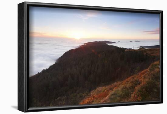 Sea of fog at the Feldberg at sunrise, Black Forest, Baden-Wurttemberg, Germany-Markus Lange-Framed Photographic Print