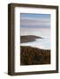 Sea of fog at the Feldberg at sunrise, Black Forest, Baden-Wurttemberg, Germany-Markus Lange-Framed Photographic Print