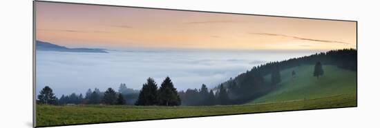 Sea of Fog, View from Schauinsland Mountain, Black Forest, Baden Wurttemberg, Germany, Europe-Markus Lange-Mounted Photographic Print