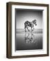 Sea of Freedom-Ben Heine-Framed Photographic Print