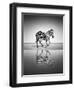 Sea of Freedom-Ben Heine-Framed Photographic Print