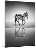 Sea of Freedom-Ben Heine-Mounted Photographic Print