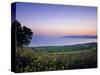 Sea of Galilee, Israel-Jon Arnold-Stretched Canvas
