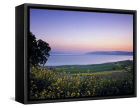 Sea of Galilee, Israel-Jon Arnold-Framed Stretched Canvas