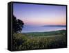 Sea of Galilee, Israel-Jon Arnold-Framed Stretched Canvas