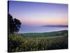 Sea of Galilee, Israel-Jon Arnold-Stretched Canvas