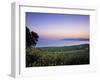 Sea of Galilee, Israel-Jon Arnold-Framed Premium Photographic Print