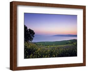 Sea of Galilee, Israel-Jon Arnold-Framed Photographic Print