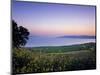 Sea of Galilee, Israel-Jon Arnold-Mounted Photographic Print