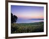 Sea of Galilee, Israel-Jon Arnold-Framed Photographic Print