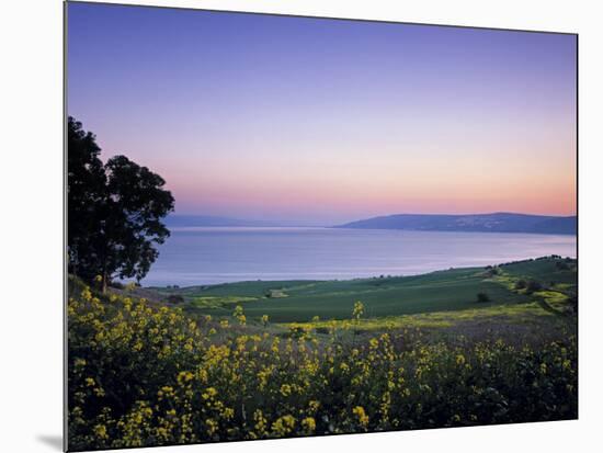 Sea of Galilee, Israel-Jon Arnold-Mounted Photographic Print