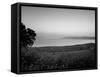 Sea of Galilee, Israel-Jon Arnold-Framed Stretched Canvas